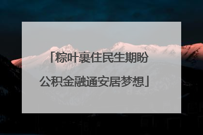 粽叶裹住民生期盼 公积金融通安居梦想