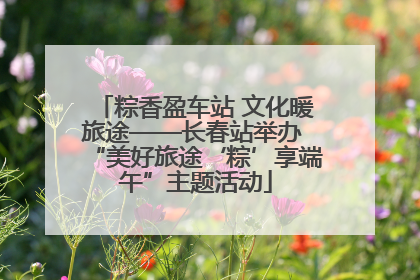 粽香盈车站 文化暖旅途——长春站举办 “美好旅途‘粽’享端午”主题活动
