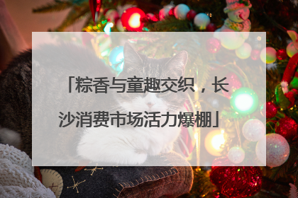 粽香与童趣交织，长沙消费市场活力爆棚