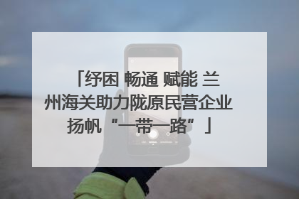 纾困 畅通 赋能 兰州海关助力陇原民营企业扬帆“一带一路”