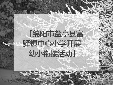 绵阳市盐亭县富驿镇中心小学开展幼小衔接活动