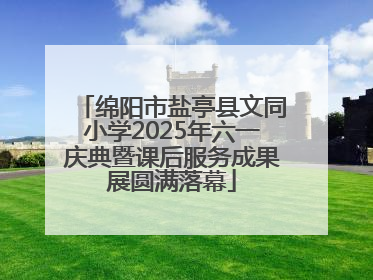 绵阳市盐亭县文同小学2025年六一庆典暨课后服务成果展圆满落幕