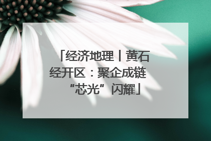 经济地理丨黄石经开区：聚企成链“芯光”闪耀