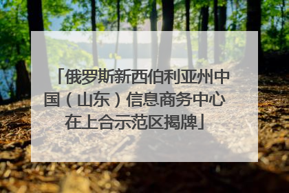 俄罗斯新西伯利亚州中国（山东）信息商务中心在上合示范区揭牌