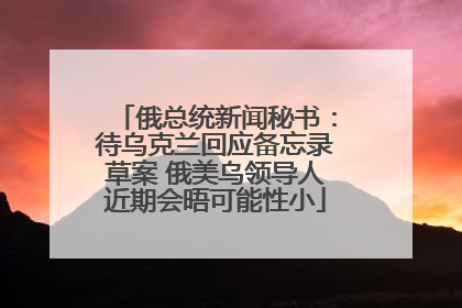 俄总统新闻秘书：待乌克兰回应备忘录草案 俄美乌领导人近期会晤可能性小