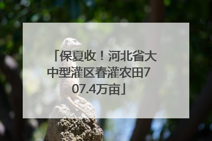 保夏收！河北省大中型灌区春灌农田707.4万亩