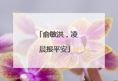 俞敏洪，凌晨报平安
