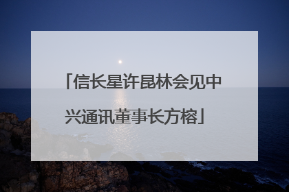 信长星许昆林会见中兴通讯董事长方榕
