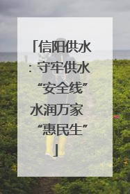 信阳供水：守牢供水“安全线” 水润万家“惠民生”