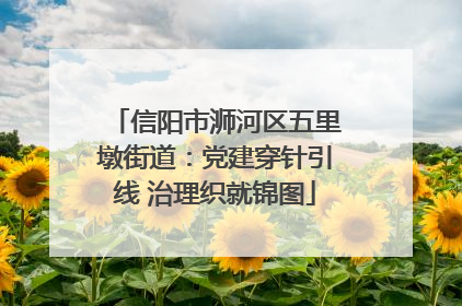 信阳市浉河区五里墩街道：党建穿针引线 治理织就锦图