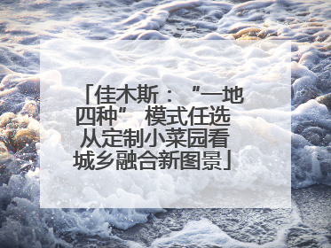 佳木斯：“一地四种” 模式任选 从定制小菜园看城乡融合新图景