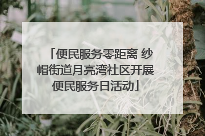 便民服务零距离 纱帽街道月亮湾社区开展便民服务日活动