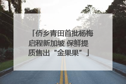 侨乡青田首批杨梅启程新加坡 保鲜提质售出“金果果”