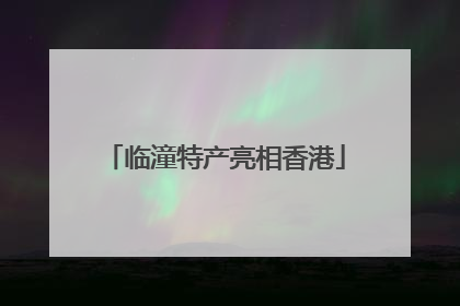 临潼特产亮相香港