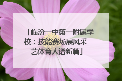 临汾一中第一附属学校：技能赛场展风采 艺体育人谱新篇
