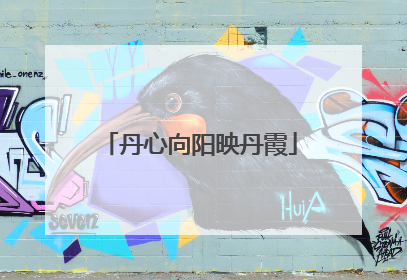 丹心向阳映丹霞