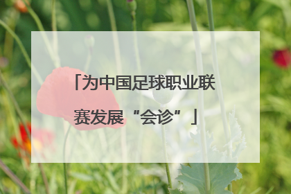 为中国足球职业联赛发展“会诊”