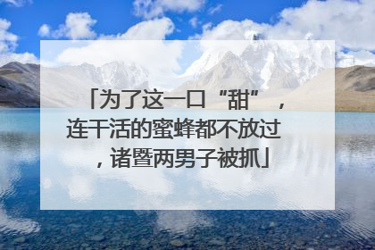 为了这一口“甜”，连干活的蜜蜂都不放过，诸暨两男子被抓