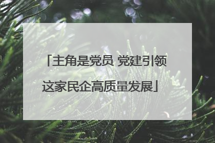 主角是党员 党建引领这家民企高质量发展