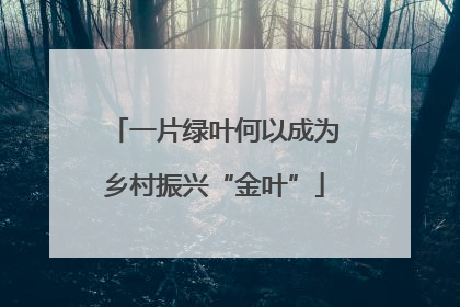 一片绿叶何以成为乡村振兴“金叶”