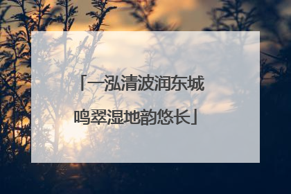 一泓清波润东城 鸣翠湿地韵悠长