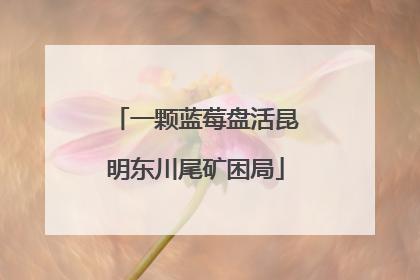 一颗蓝莓盘活昆明东川尾矿困局