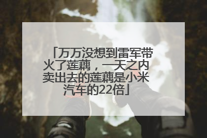 万万没想到雷军带火了莲藕，一天之内卖出去的莲藕是小米汽车的22倍