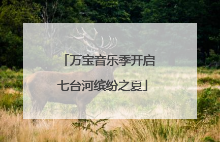 万宝音乐季开启七台河缤纷之夏
