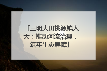 三明大田桃源镇人大：推动河流治理，筑牢生态屏障