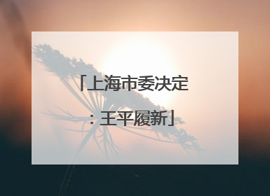 上海市委决定：王平履新