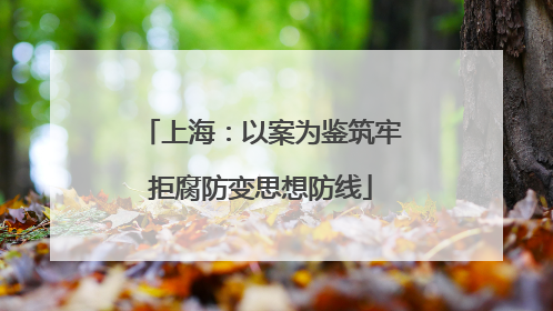 上海：以案为鉴筑牢拒腐防变思想防线