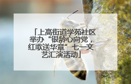 上高街道学苑社区举办“银龄心向党，红歌送华章”七一文艺汇演活动