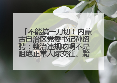不能搞一刀切！内蒙古自治区党委书记孙绍骋：整治违规吃喝不是阻绝正常人际交往、黯淡人间烟火