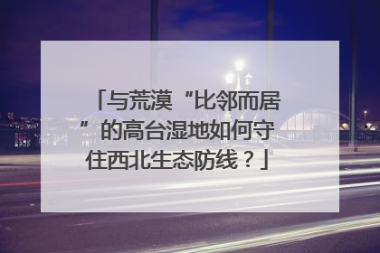 与荒漠“比邻而居”的高台湿地如何守住西北生态防线？