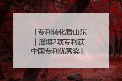专利转化看山东｜淄博2项专利获中国专利优秀奖