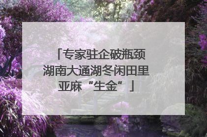 专家驻企破瓶颈 湖南大通湖冬闲田里亚麻“生金”