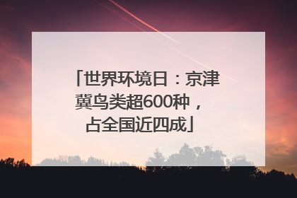 世界环境日：京津冀鸟类超600种，占全国近四成