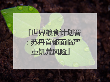 世界粮食计划署：苏丹首都面临严重饥荒风险