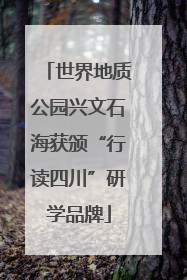 世界地质公园兴文石海获颁“行读四川”研学品牌