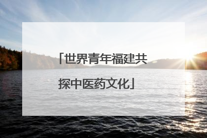 世界青年福建共探中医药文化