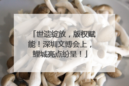 世遗绽放，版权赋能！深圳文博会上，鲤城亮点纷呈！