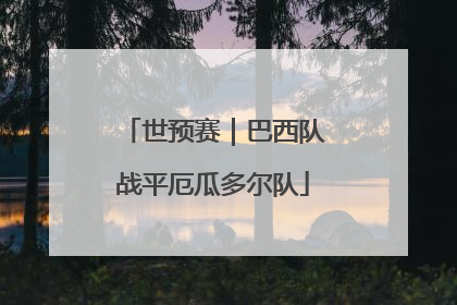 世预赛｜巴西队战平厄瓜多尔队