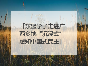 东盟学子走进广西多地“沉浸式”感知中国式民主