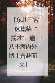 东北三省一区集结“揽才” 逾八千海内外博士奔赴而来