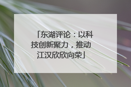 东湖评论：以科技创新聚力，推动江汉欣欣向荣