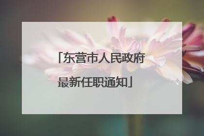 东营市人民政府最新任职通知
