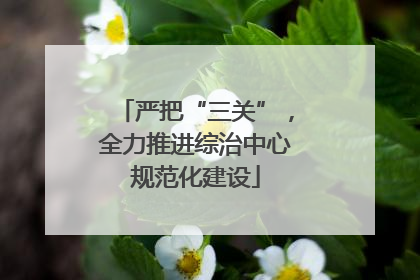 严把“三关”，全力推进综治中心规范化建设