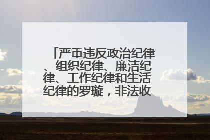 严重违反政治纪律、组织纪律、廉洁纪律、工作纪律和生活纪律的罗璇，非法收受他人巨额财物