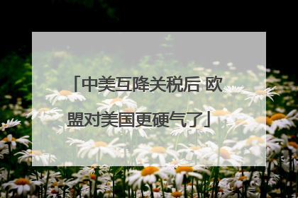 中美互降关税后 欧盟对美国更硬气了