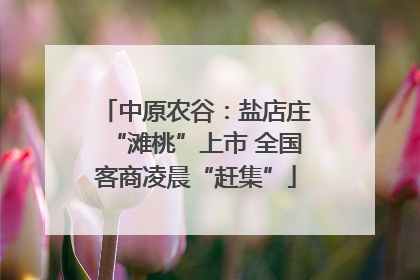 中原农谷：盐店庄“滩桃”上市 全国客商凌晨“赶集”